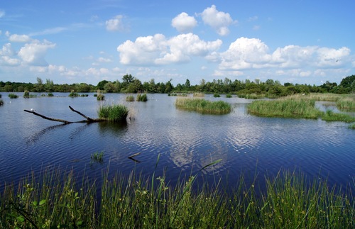 Brenne Natural Regional Parc
